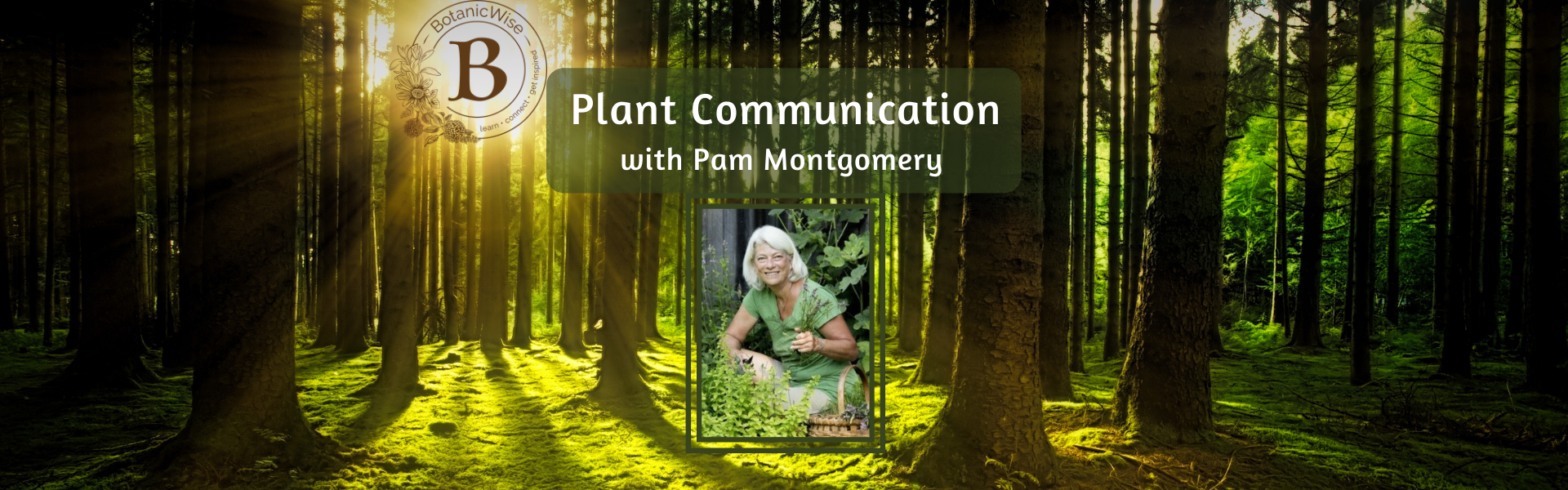 The Art of Plant Communication • BotanicWise