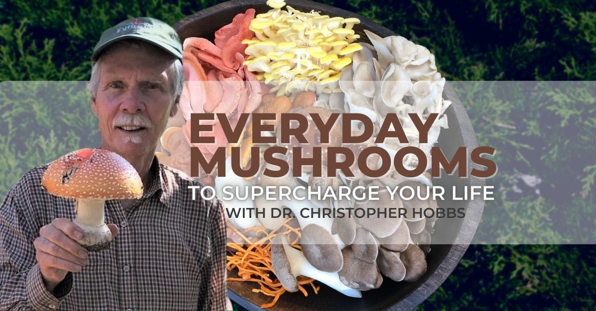 Everyday Mushrooms to Supercharge Your Life • BotanicWise