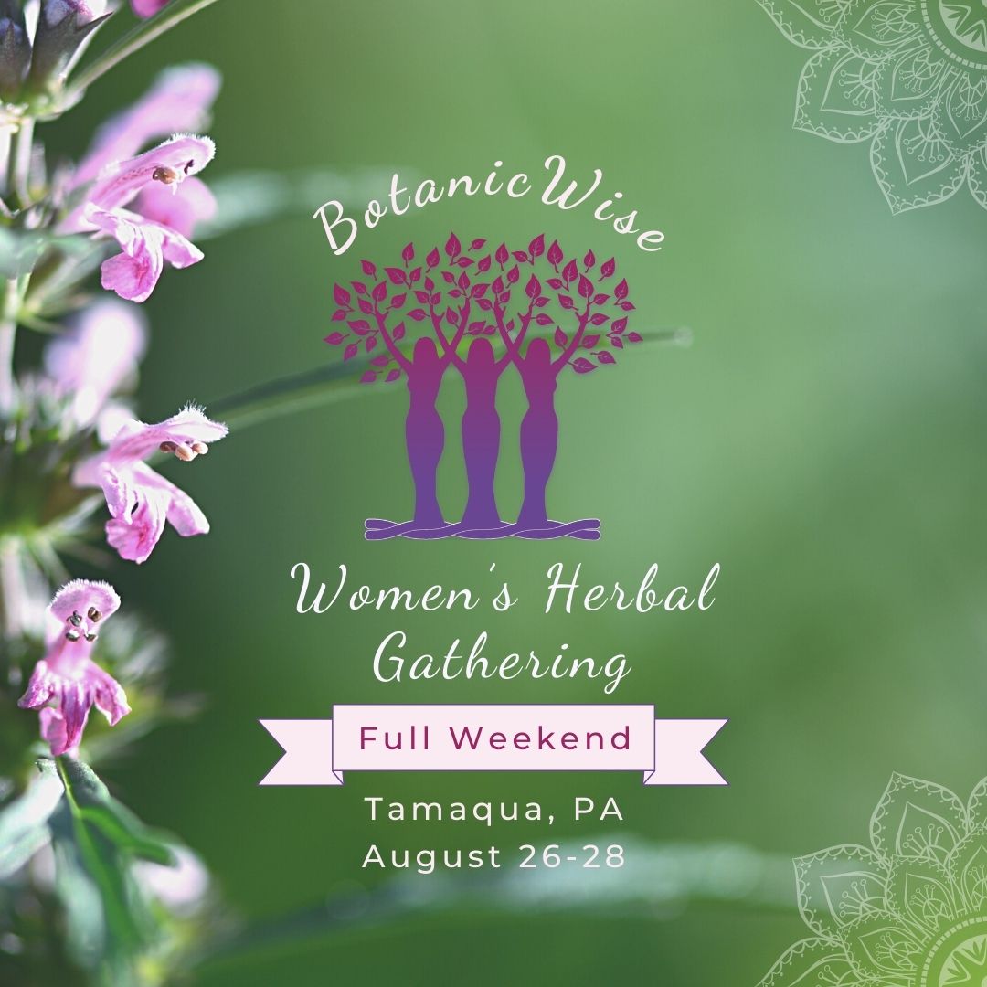 Women's Herbal Gathering 2022 (Full Weekend) • BotanicWise